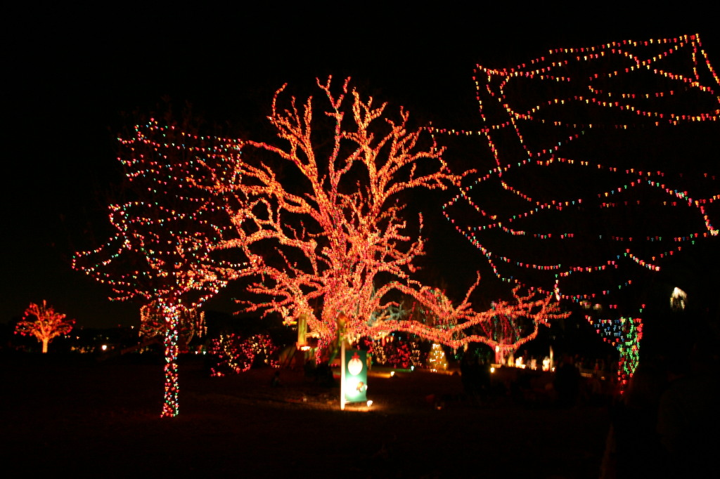 2005/12 December/Trail of Lights/1024x768_IMG_4508.JPG